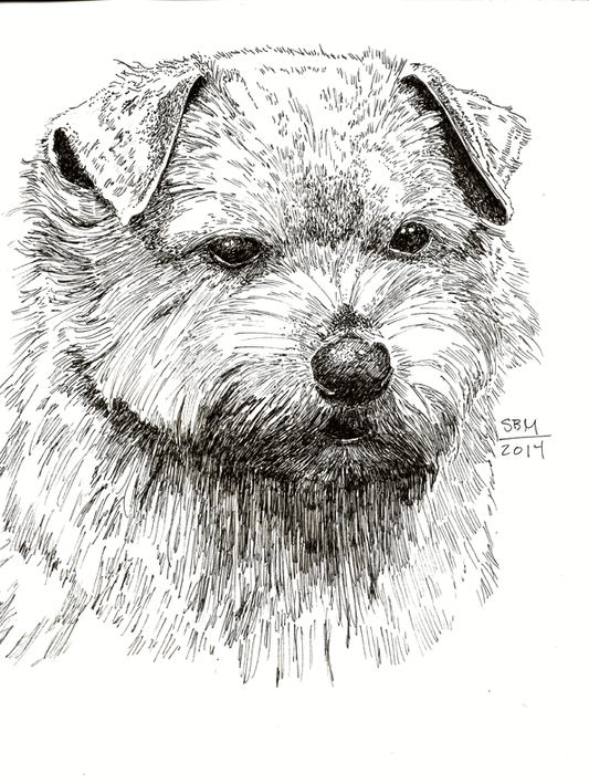 Norfolk Terrier Cards 10 Cards