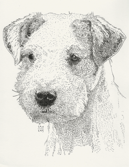 Parson Russell Terrier Cards 10 Cards