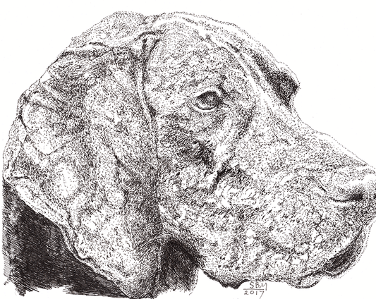 Plott Hound Cards 10 Cards