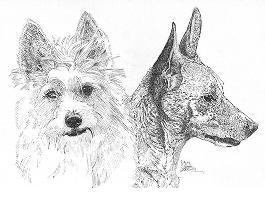 Portuguese Podengo Pequeno  Print