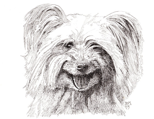 Pyrenean Shepherd Cards 10 cards
