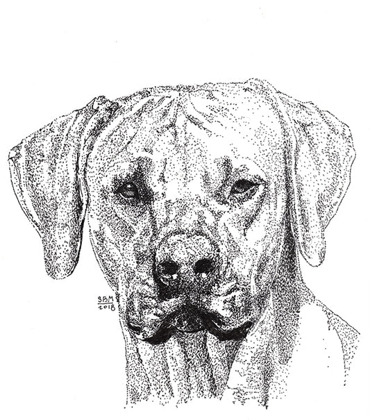 Rhodesian Ridgeback Cards 10 Cards