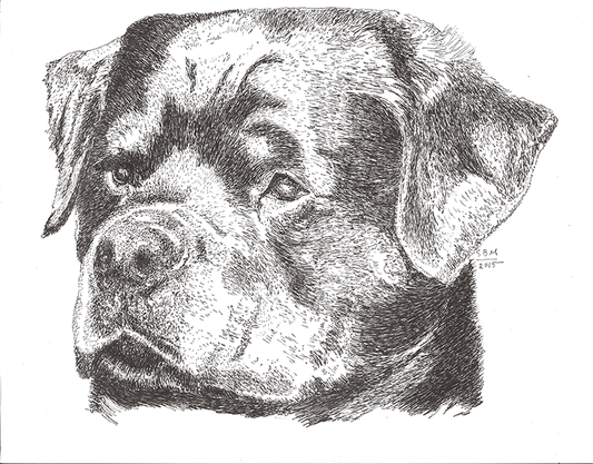 Rottweiler Cards 10 Cards