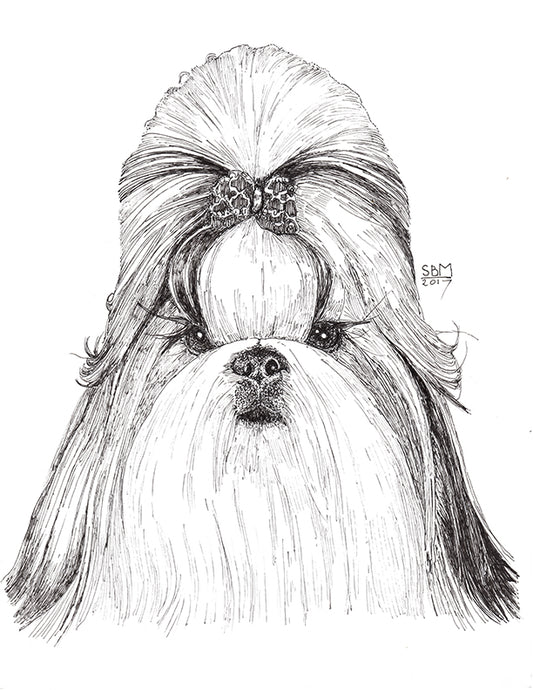 Shih Tzu Cards 10 Cards