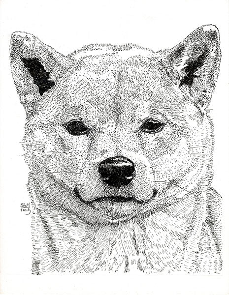 Shiba Inu Print