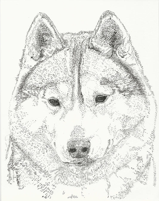 Siberian Husky Cards 10 Cards