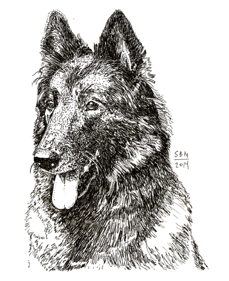 Belgian Tervuran Cards 10 Cards