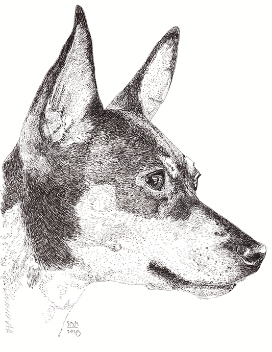 Toy Fox Terrier Cards 10 Cards