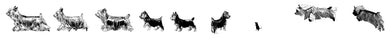 Van and House Sticker -- Eight Silky Terriers