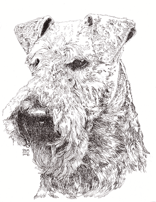 Welsh Terrier Cards 10 Cards