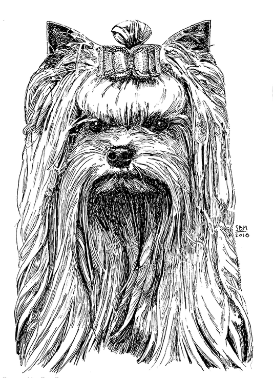 Yorkshire Terrier Cards 10 Cards