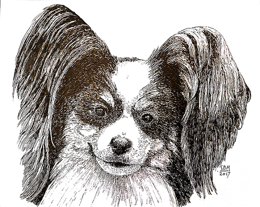 Papillon Cards 10 Cards